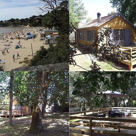 La Palombiere, Plage A 150M Meschers-sur-Gironde Dış mekan fotoğraf